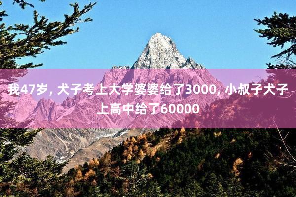 我47岁, 犬子考上大学婆婆给了3000, 小叔子犬子上高中给了60000