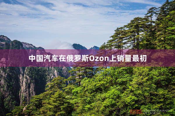中国汽车在俄罗斯Ozon上销量最初